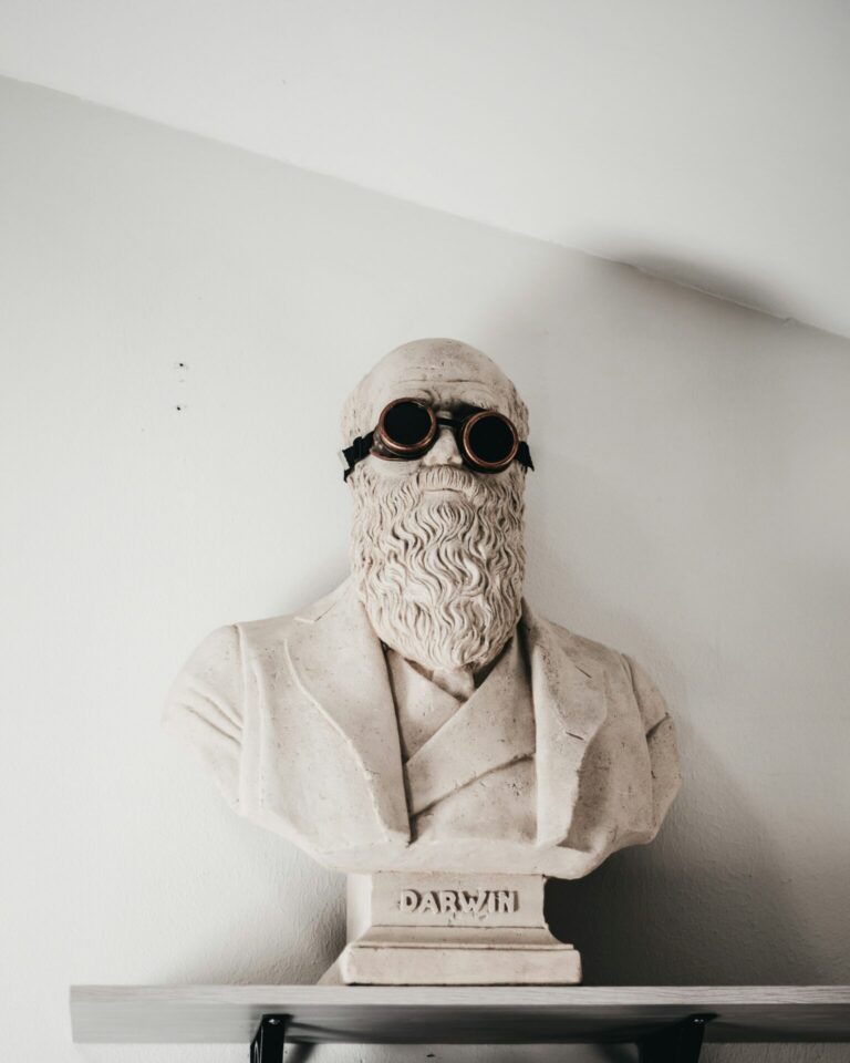 Wat als Darwin een punt had?